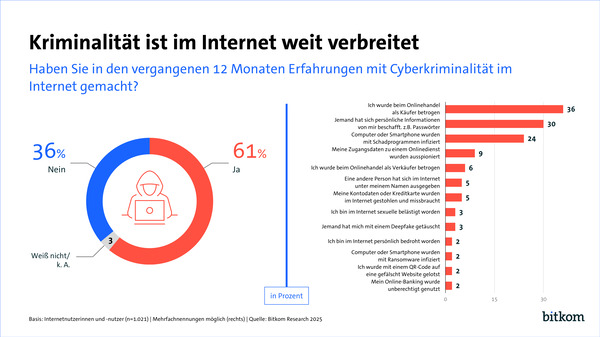 bitkom-verbreitung-kriminalitaet-internet